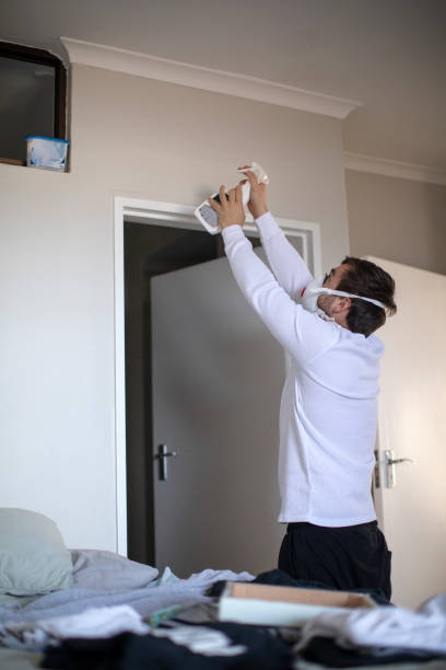 Reliable Alpine, TX Mold Removal Solutions