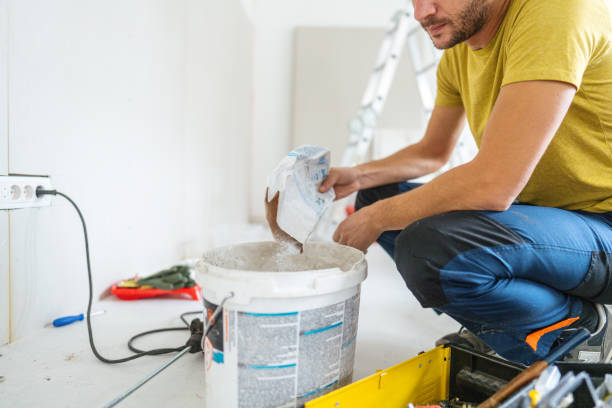 Best Asbestos and Lead Testing During Mold Inspection  in Alpine, TX