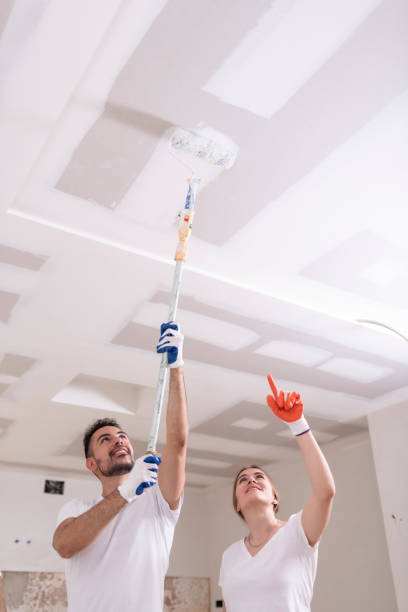 Best Basement Mold Removal  in Alpine, TX