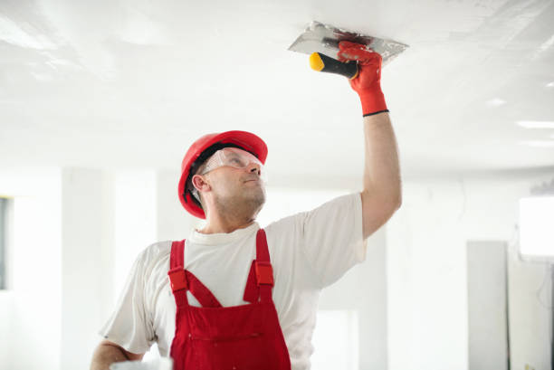  Alpine, TX Mold Removal Pros