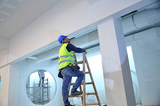 Best Water Damage & Mold Remediation  in Alpine, TX