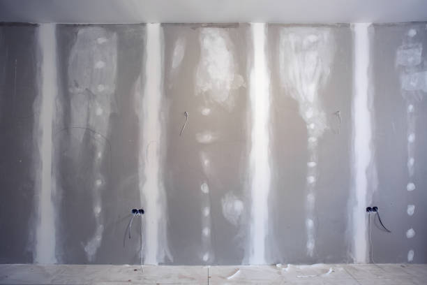 Best Post-Construction Mold Inspection  in Alpine, TX
