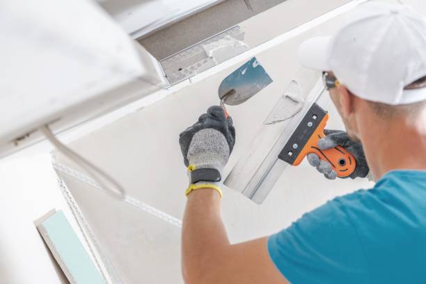 Best Mold Removal for HVAC Installations  in Alpine, TX